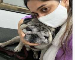 Dipika had adopted a dog whom she used to call Cuddle. He passed away in November 2021.